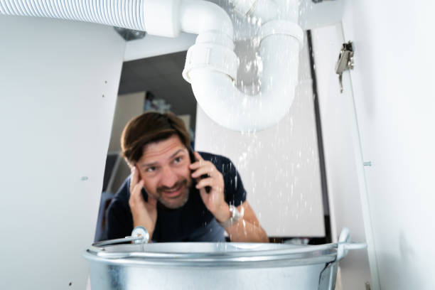 Best 24-Hour Plumber Near Me  in Holmen, WI